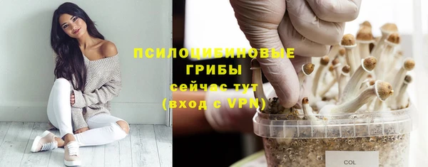 мдма Верхний Тагил