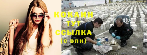 дмт Бородино